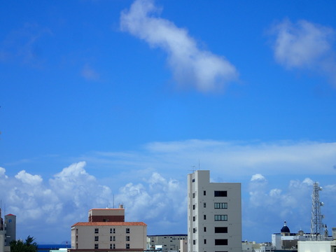 P8241005