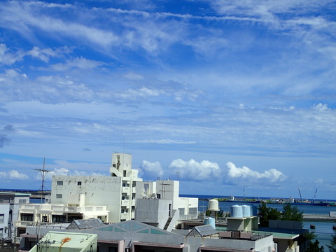 P8222249