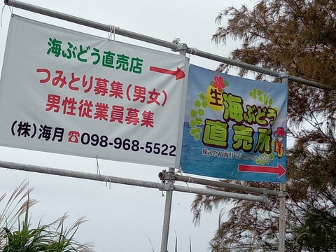 IMG_20220513_131747_888