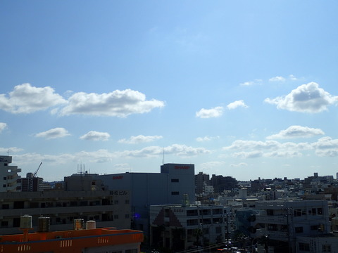 P2060181