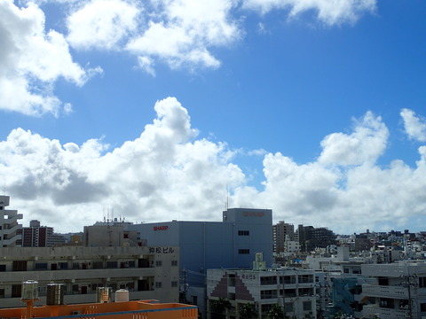 P8310524