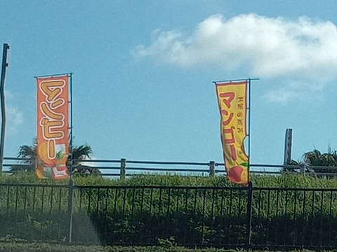 IMG_20220706_080008_465