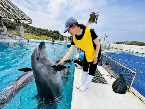 iruka_puremiamu_202305_1