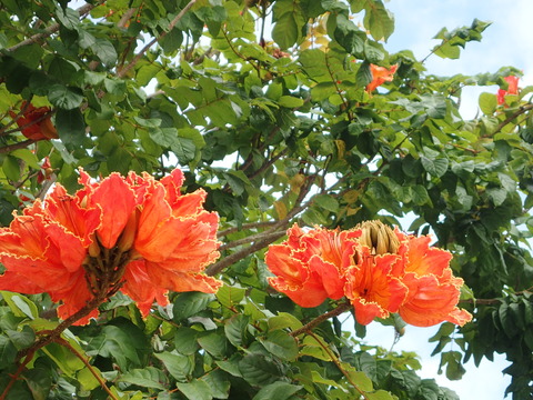 P1110773