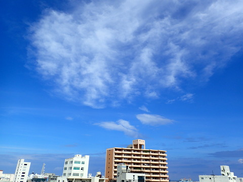 P9171249