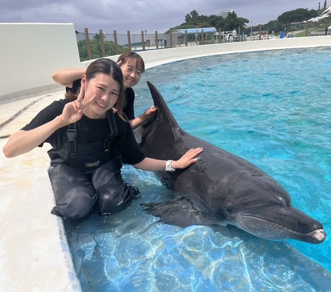 20240530_iruka_taiken