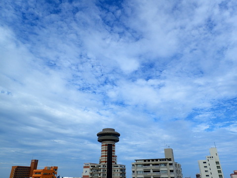 P6120119