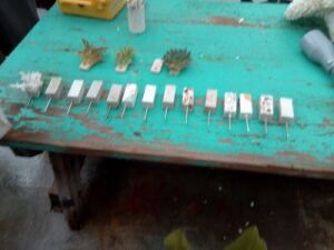 IMG_20230617_110923_674