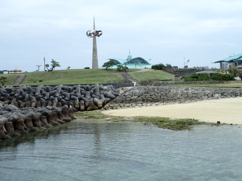 P4250090