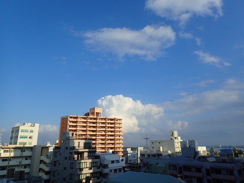 P9092388