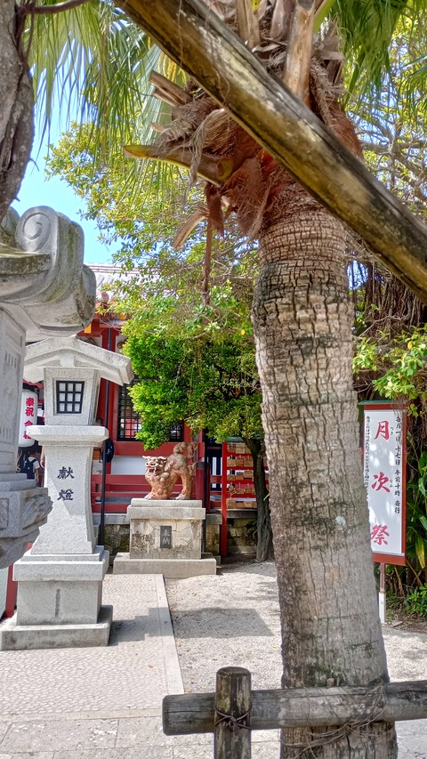 IMG_20250419_142153_HDR