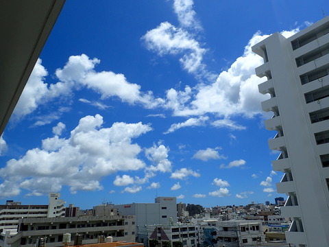P8302334
