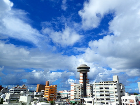 P8280858