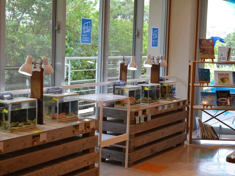 552742447_18074874890113782_5860497127682223108_n