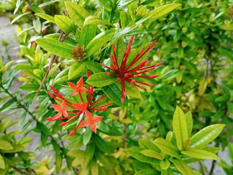 IMG_20240511_164951