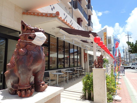 12082ｼｰｻｰもﾏｽｸ