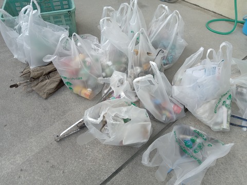 IMG_20231118_113010_074