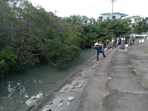 IMG_20231001_102246_475