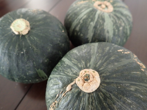 P2190040