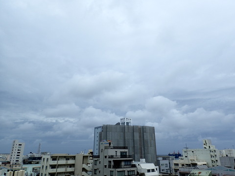 P6100097