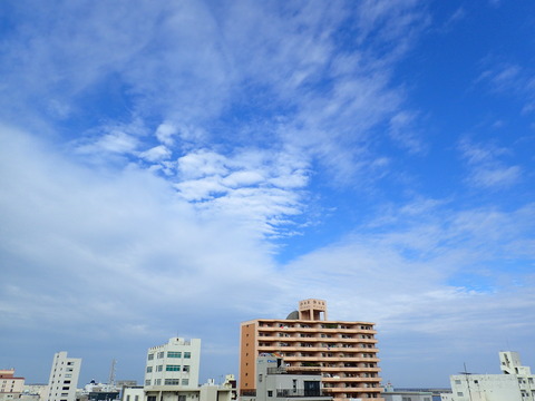 PB050439