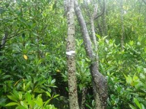 446679482_494206352935179_2413651645788093541_n