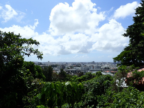 P3130852