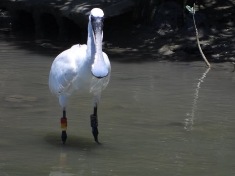 499522621_731138869241925_4572163477886708516_n