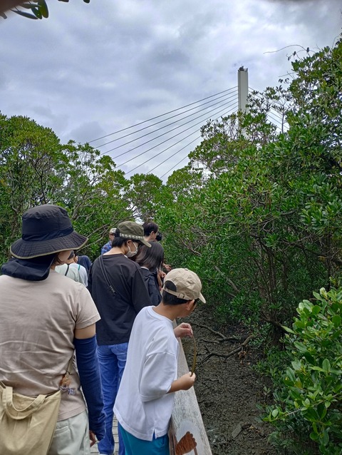 IMG_20250427_102708_HDR