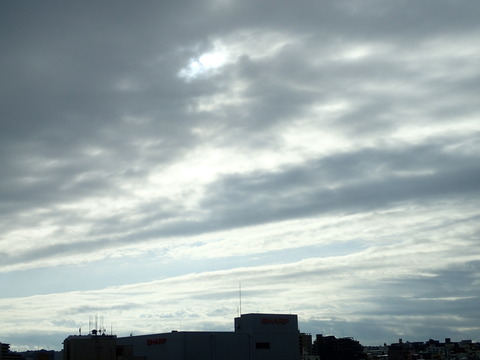 P2040491