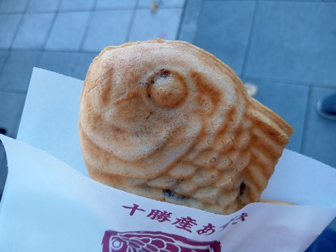 IMG_20240101_110213_543