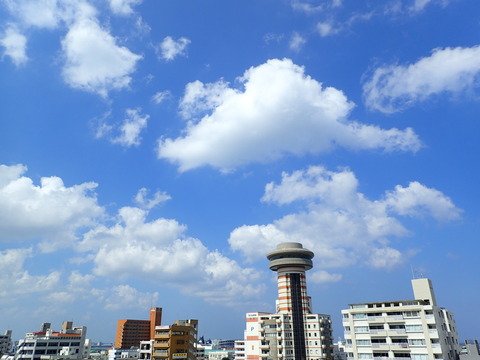 P4260059