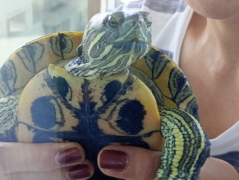 IMG_20241203_095447_SR