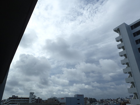 P6120118