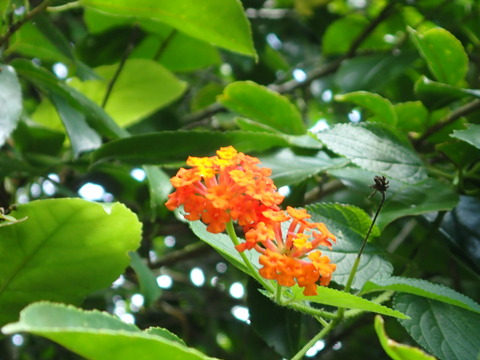 P3130847