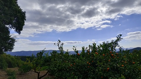 IMG_20251128_124745_HDR