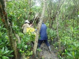 444224634_494206236268524_8415070256164380423_n