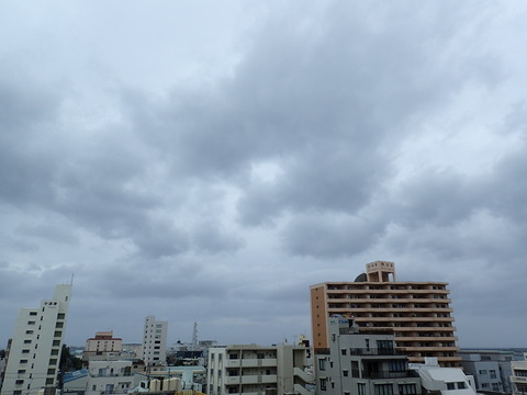 P3130051