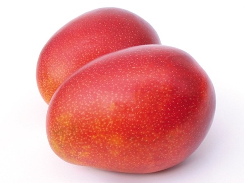 51a4a875304f05197c2b986ede3233c7