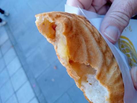 IMG_20240101_110240_314