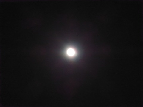 P4270073