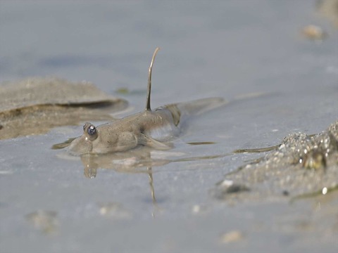 tokagehasetenji2025_3