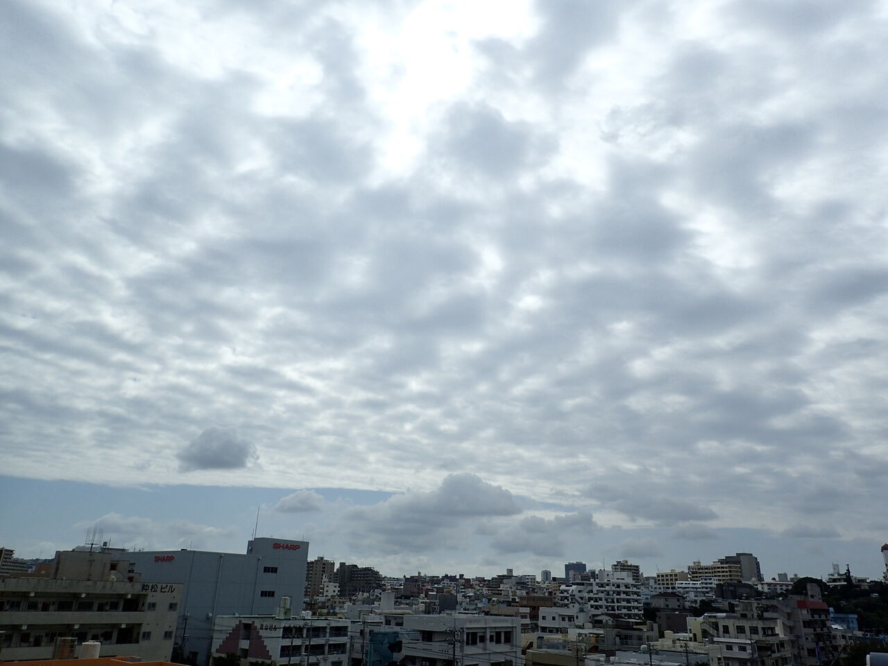 沖縄でも春一番はある 60歳からの沖縄生活 With N 沖縄でも春一番はある 60歳からの沖縄生活 With N