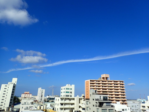 P1060178
