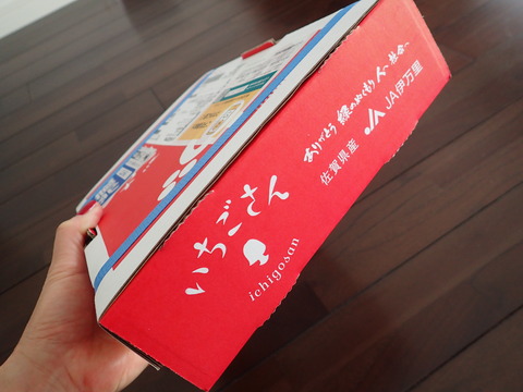 P2010466