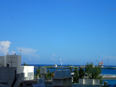 P9010881