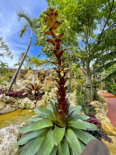 5123a0673efaedea11730d4dc0d6db95-e1623565688202