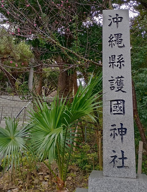 IMG_20250212_113703_HDR