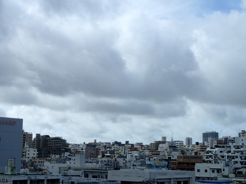 P6090082