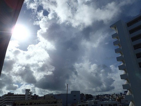P9010878